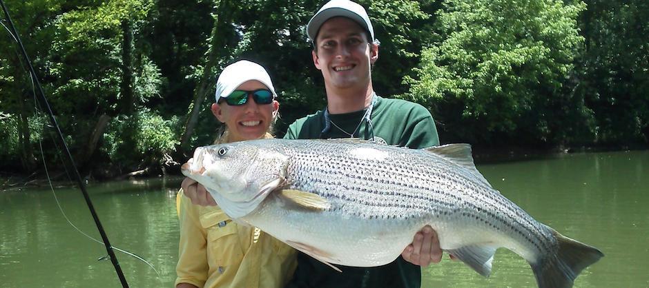 50lb striper.JPG